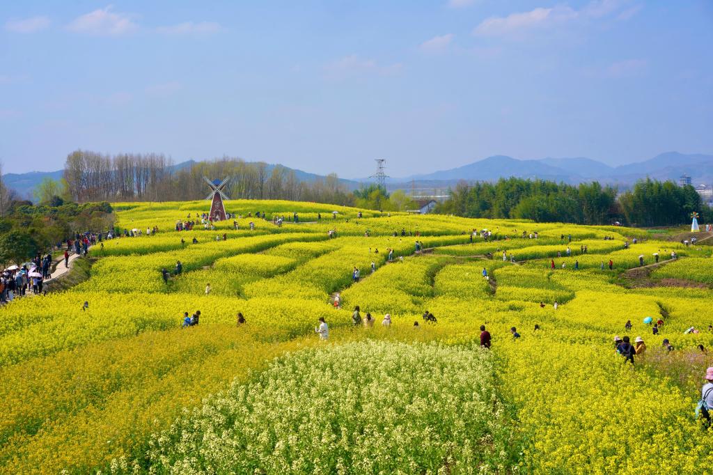 20210319537987.jpg 20210319537987.jpg