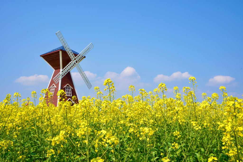 20210319907582.jpg 20210319907582.jpg